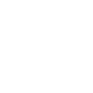 Vestel-logo