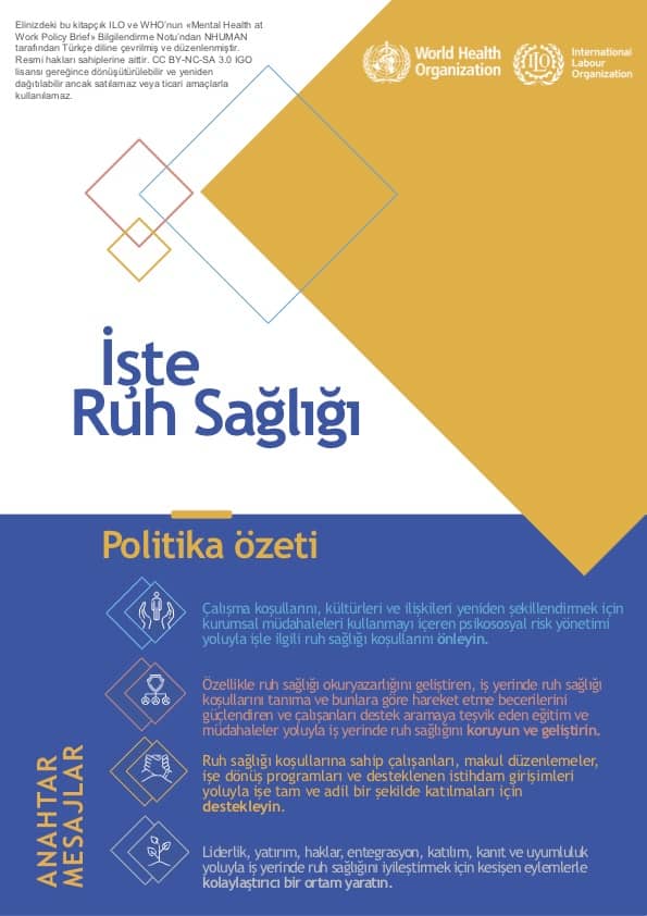 Mental Health at Work: Policy Summary (in Turkish)